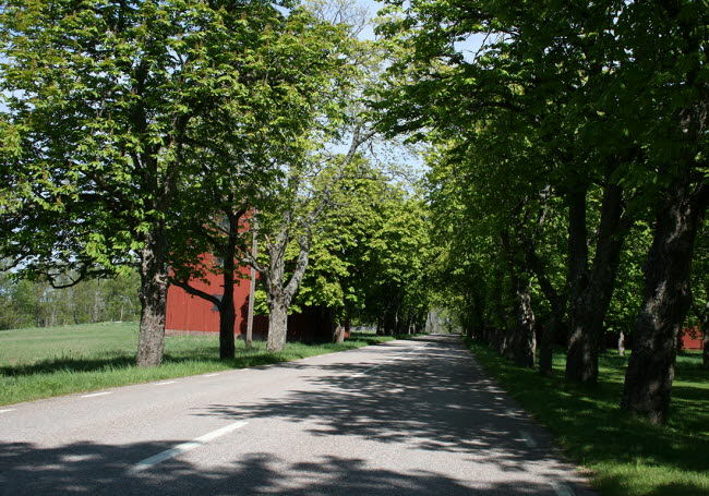 Allé.