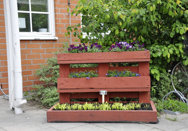 Elvbacken i Fårbo, blomlåda.