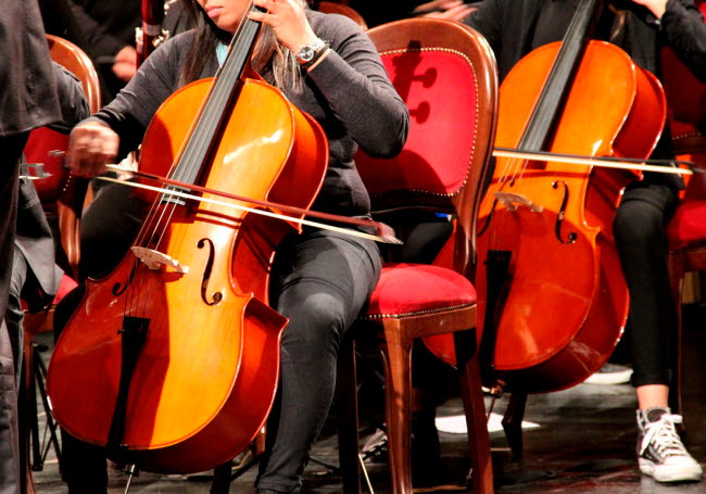cello