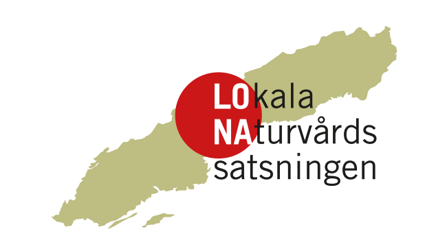LONA-logotyp.