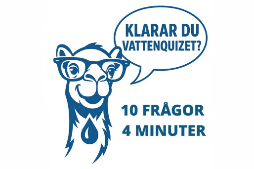 En illustrerad kamel med pratbubbla där det står: Klarar du vattenquizet?