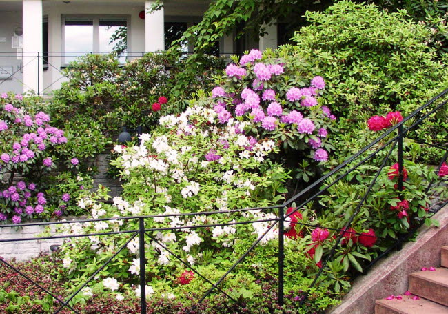 Innergården Elefantenhuset.